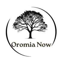 bold logo with gada system motif