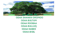 screenshot 2026 09 11 181333 1.webp